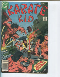 Karate Kid #11 by DC Comics - Fine