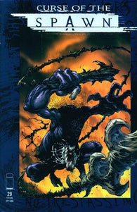 Curse of the Spawn #29 by Image Comics