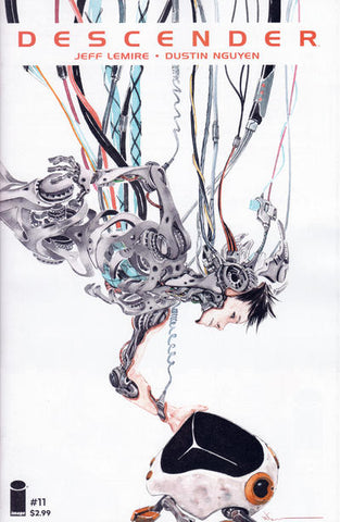 Descender - 011