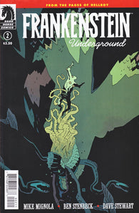 Frankenstein Underground - 02