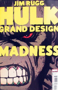 Hulk Grand Design Madness - 02