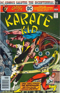 Karate Kid - 003