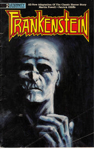 Frankenstein - 02 - FIne