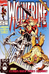 Wolverine #45 by Marvel Comics