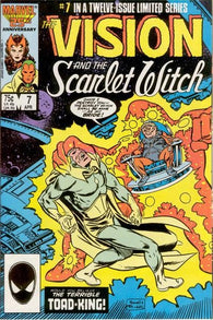 Vision And Scarlet Witch Vol. 2 - 007