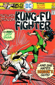 Richard Dragon Kung-Fu Fighter - 005
