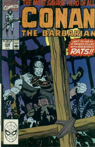 Conan The Barbarian - 236
