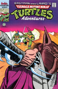 Teenage Mutant Ninja Turtles Adventures - 036