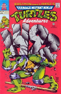 Teenage Mutant Ninja Turtles Adventures - 040