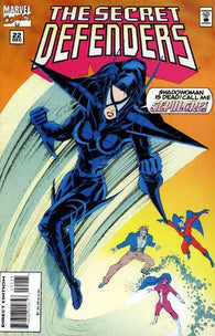 Secret Defenders #22 by Marvel Comics