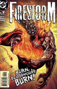 Firestorm Vol 3 - 007