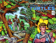 Teenage Mutant Ninja Turtles - 012