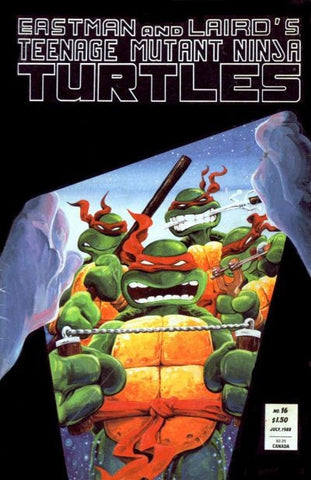 Teenage Mutant Ninja Turtles - 016