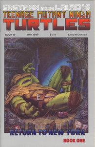 Teenage Mutant Ninja Turtles - 019