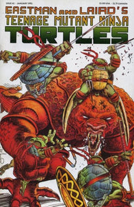 Teenage Mutant Ninja Turtles - 043