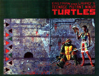 Teenage Mutant Ninja Turtles - 044
