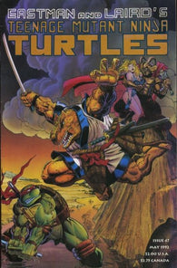 Teenage Mutant Ninja Turtles - 047