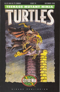 Teenage Mutant Ninja Turtles - 054