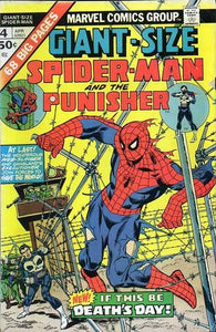 Amazing Spider-Man #4 by Marvel Comics Punisher