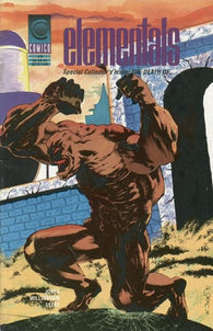 Elementals #19 by Comico Comics