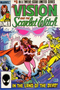 Vision And Scarlet Witch Vol. 2 - 005