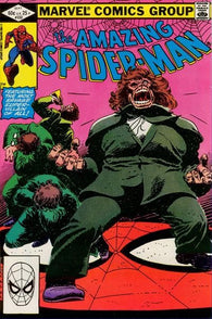 Amazing Spider-Man #232 by Marvel Comics  - Mr. Hyde