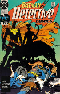 Batman: Detective Comics - 612