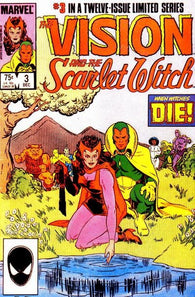 Vision And Scarlet Witch Vol. 2 - 003