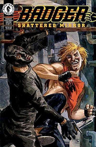 Badger Shattered Mirror - 04