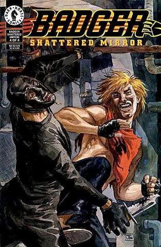 Badger Shattered Mirror - 04