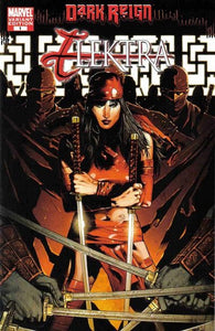 Elektra Dark Reign - 01 Alternate