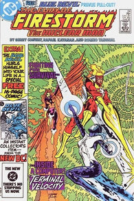 Firestorm #24 by DC Comics