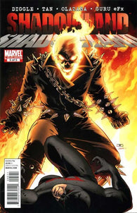 Daredevil Shadowland #5 by Marvel Comics