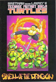 Teenage Mutant Ninja Turtles Shell Of The Dragon - 01