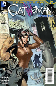 Catwoman #25 by DC Comics