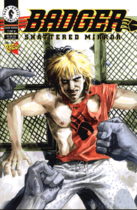 Badger Shattered Mirror - 01