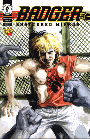 Badger Shattered Mirror - 01