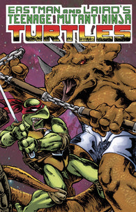 Teenage Mutant Ninja Turtles Color Classics #6 by IDW Comics