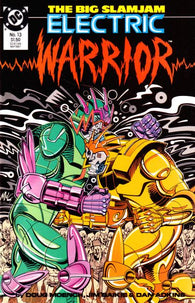 Electric Warrior #13 by DC Comics