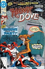 Hawk And Dove #24 by DC Comics
