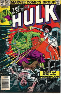 Hulk - 256 - Newsstand - Fine