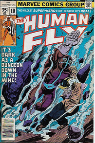 Human Fly #10 by Marvel Comics - Fine
