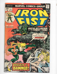 Iron Fist #2 by Marvel Comics