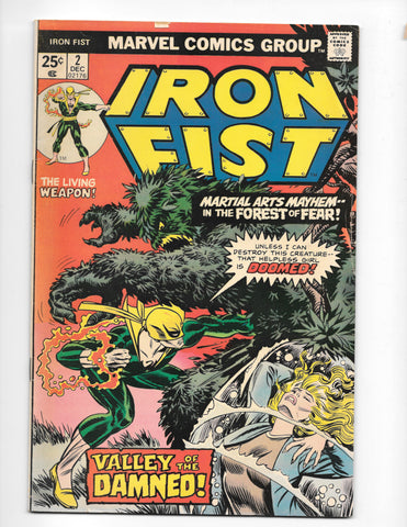 Iron Fist #2 by Marvel Comics