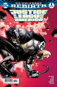 Justice League of America Vol 5 - 001 - Alternate