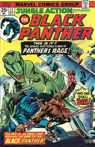 Jungle Action #17 by Marvel Comics - Black Panther