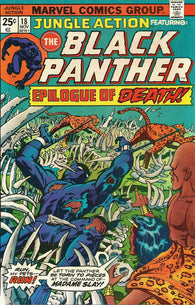 Jungle Action #19 by Marvel Comics - Black Panther
