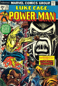 Luke Cage Power Man #19 by Marvel Comics
