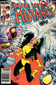 New Mutants Vol 2 - 015 Newsstand