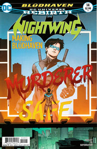 Nightwing Vol. 4 - 014